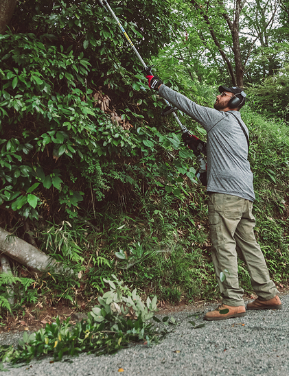 Pole Pruner