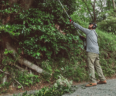 Pole Pruner