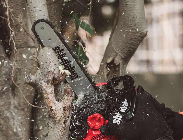 Professional Engine. Professional Engine.